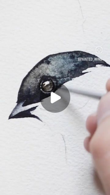 Watercolor Chickadee Paintings, Watercolor Chickadee, Watercolor Birds Tutorial, Chickadee Painting, 2023 Watercolor, Chickadee Art, Painting Instructions, Bird Artists, Paintings Tutorials