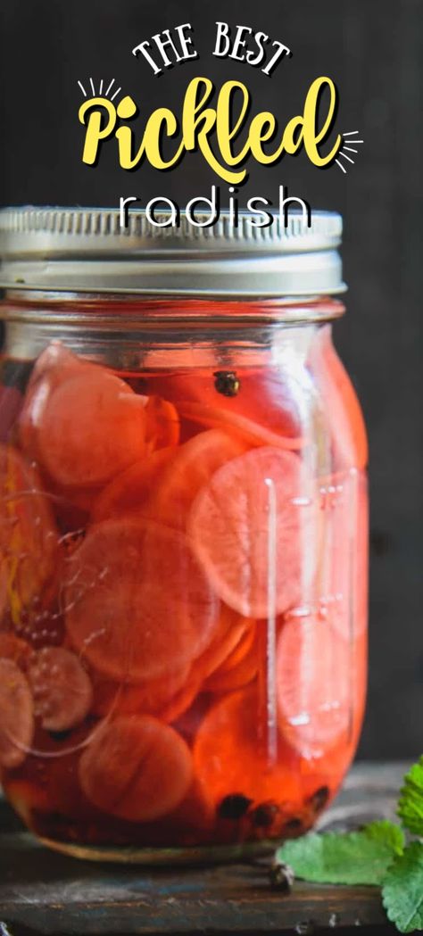 Radish Pickle Recipe, Pickled Radish Recipe, Quick Pickled Radishes, Quick Pickle, Easy Pickling Recipes, Pickled Vegetables Recipe, Pickled Radish, Canning Pickles, Canning Food Preservation