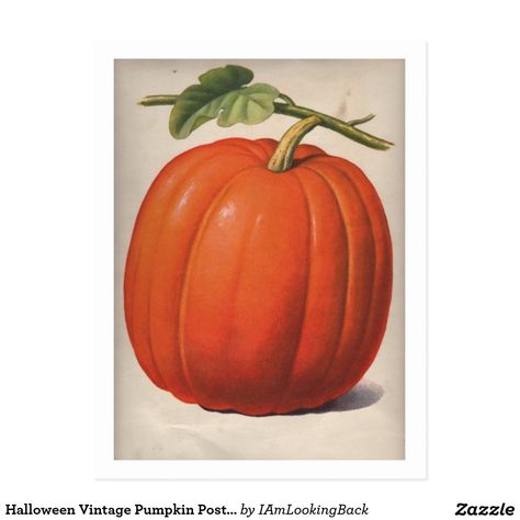 Halloween Vintage Pumpkin Postcard 3 People Halloween Costumes, 3 People Costumes, Thanksgiving Games For Kids, Pumpkin Illustration, Best Friend Halloween Costumes, Vintage Pumpkin, Halloween Costumes For 3, The Graphics Fairy, Christmas Crafts For Kids To Make