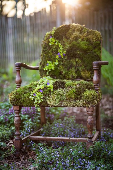 Kunming, Moss Garden, Diy Backyard Landscaping, Old Chair, Have Inspiration, The Secret Garden, Whimsical Garden, Garden Bench, Garden Crafts