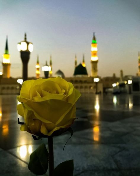 Khana Kaba Image, Gumbad E Khazra, Masjid E Nabvi, Madina Sharif Beautiful Pic, Medina Wallpaper, Makka Madina, Madina Shareef, Mecca Images, Madina Sharif