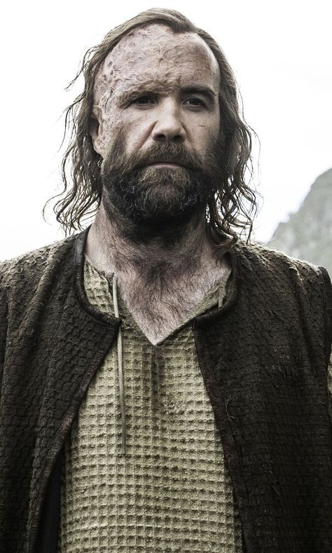 Game of Thrones: The Hound's Return Could Mean "Cleganebowl" Is About to Go Down Hound Game Of Thrones, Game Of Thrones Theories, Rory Mccann, A Clash Of Kings, Game Of Thrones Facts, Game Of Thrones Costumes, Game Of Thrones Tv, Unique Pictures, A Dance With Dragons