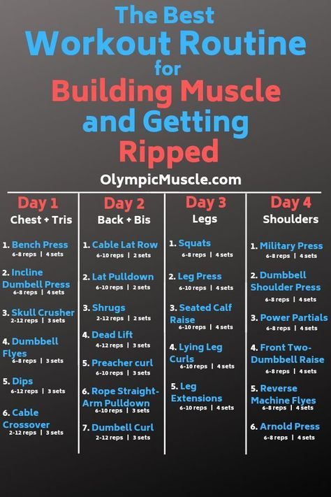 4 Day Workout Split, Total Body Workout Plan, 4 Day Workout, Workout Split, Full Body Workout Plan, Fitness Studio Training, Workout Plan For Men, Bodybuilding Workouts Routines, Bolesti Chrbta