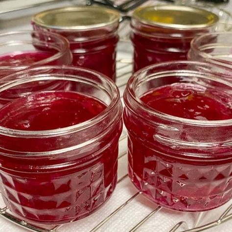 Alaska Fireweed Jelly - Andrea Kuuipo Abroad Fireweed Jelly, Alaska Fireweed, Sterilizing Canning Jars, Alaska Style, Salmon Dip Recipes, Canning Water, Alaskan Wilderness, Smoked Salmon Dip, Clean Flowers