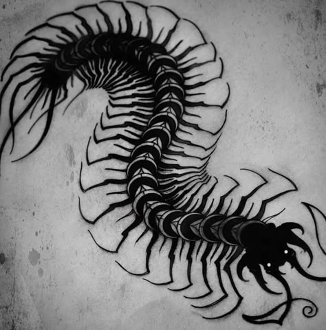 Rad Tattoos, Centipedes, Sketch Tattoo Design, Sketch Tattoo, Dark Art Tattoo, Tattoo Sketch, Dark Tattoo, Bugs And Insects, S Tattoo