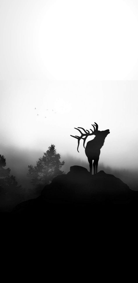 Hunter Wallpaper, Cool Wallpapers For Your Phone, Deer Wallpaper, Deer Illustration, Glitch Wallpaper, 3d Art Drawing, Logo Design Video, Beautiful Art Paintings, Artist Sketches