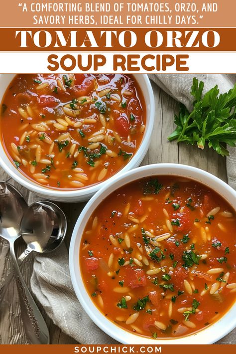 Tomato Orzo Soup Recipe for a Hearty and Delicious Meal Tomato Soup And, Tomato Based Soups, Orzo Tomato Soup, Tomato Orzo Soup, Easy Tomato Basil Soup, Tomatoe Soup, Pesto Soup, Tomato Orzo, Orzo Soup Recipes