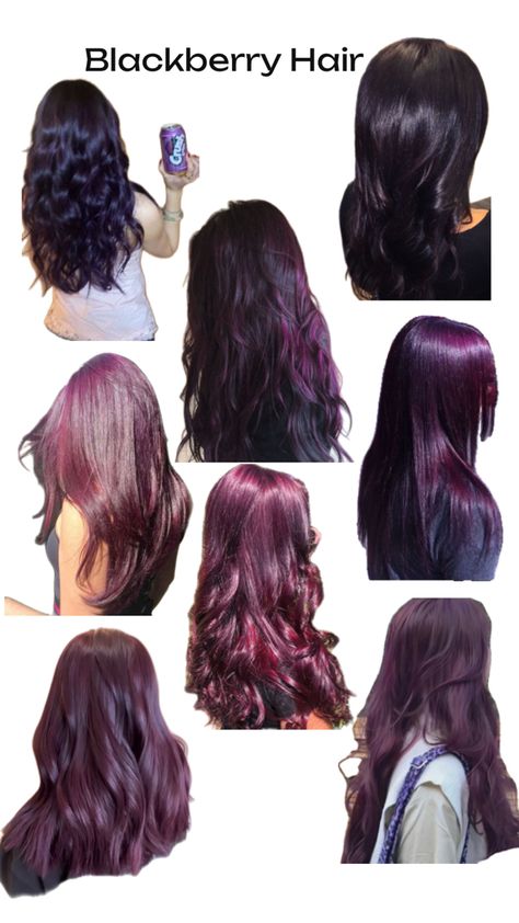 Blackberry Hair, Berry Hair, Hair Dresser, Blackberry, Hair Inspo, Cute Hairstyles, Berry, Dresser, Hair Styles