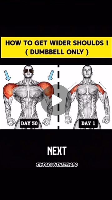 Dumbbell Shoulder Workout, Dumbbell Shoulder, Workout Tips, January 7, Gym Workout Tips, Shoulder Workout, Gym Workout, Fitness Tips, Gym Workouts