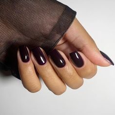 Black Cherry Nails Are Going To Dominate In Fall 2024 Burgundy Nails With Black Design, Fall Nails 2024 Black, Nail Color Trends Fall 2024, Black Cherry Chrome Nails, Cherry Black Nails, Black Cherry Nails Design, Nails For Black Dress Classy, Black Cherry Nails Acrylic, Nails Fall 2024 Trends