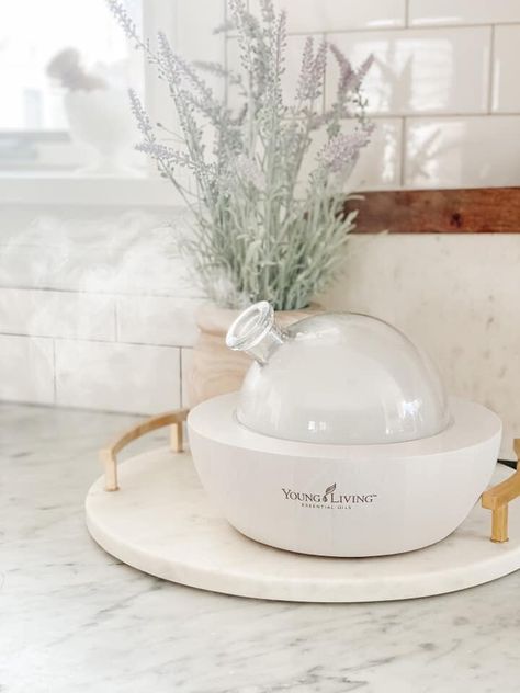 Everyone, meet the White Aria Diffuser! This beautiful new kid on the block is available for the month of February or while supplies last, and based on prior Aria sales, this one won’t last long!For existing Young Living members this diffuser is available in two different collections. If you’re not a member of Young Living today, you can still get your hands on this beauty by building your own kit. This is by far the best way to get started. It is an amazing value plus if you order the White Ari Aria Diffuser Young Living, Aria Diffuser, Megan Young, Young Living Diffuser, Benefits Of Essential Oils, Recipes Learn, Limbic System, House Smell Good, Essential Oils For Sleep