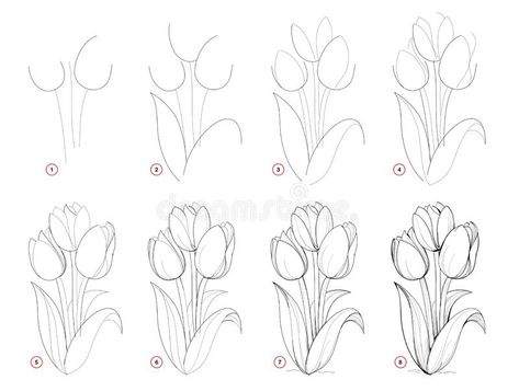 Hur Man Ritar Blommor, Tulip Drawing, Easy Flower Drawings, Flower Step By Step, How To Draw Steps, Flower Drawing Tutorials, Flower Art Drawing, 강아지 그림, Illustration Botanique