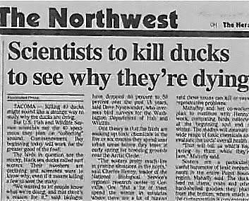 How EGRET-FOWL Funny News Headlines, Funny News Stories, Funny Headlines, Morning Newspaper, Jokes Images, Newspaper Headlines, Headline News, Newspaper Article, Funny News