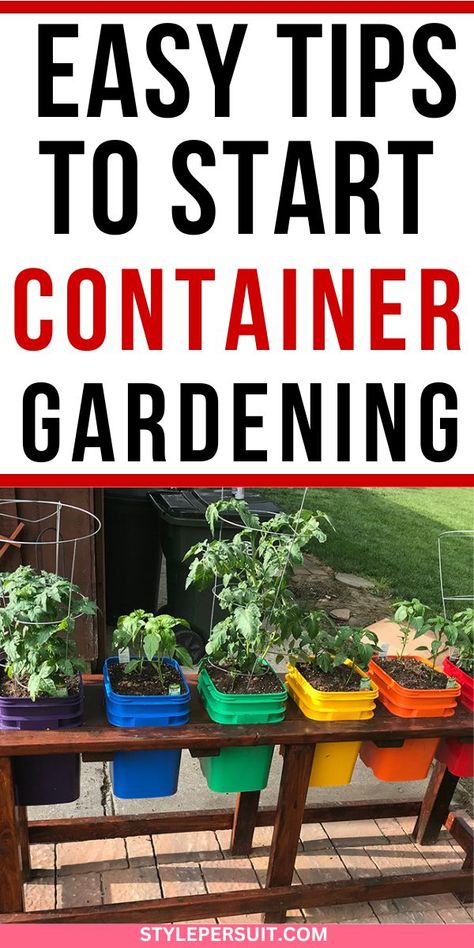 Container gardening is a versatile and accessible way to bring the joys of gardening into any space, regardless of size or location. Whether you have a sprawling backyard, a cozy balcony, or even just a sunny windowsill, container gardening allows you to cultivate beautiful plants, herbs, and vegetables with minimal fuss. In this beginner’s guide, click to discover everything you need to know to get started on your container gardening journey. Garden Containers Ideas Planters, Patio Container Gardening Ideas, Outdoor Container Gardening Ideas, Apartment Vegetable Garden, Recycled Planters, Patio Container Gardening, Container Gardening Ideas, Planters Ideas, Cozy Balcony