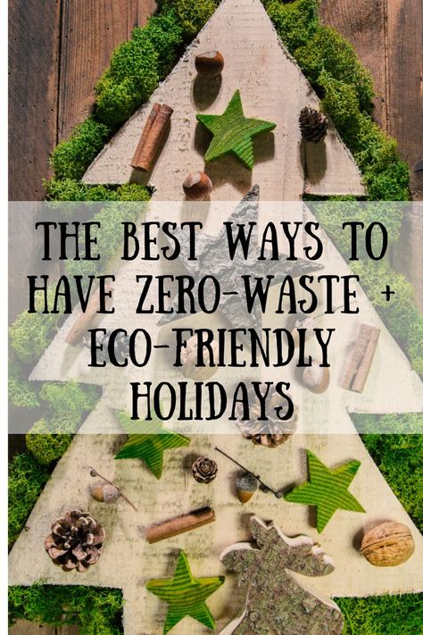 The Best Ways to Have Zero-Waste + Eco-Friendly Holidays! Sustainable Christmas Decorations, Vegan Shopping List, Zero Waste Holiday, Zero Waste Christmas, Sustainable Holiday, Vegan Diet Plan, Eco Friendly Holiday, Teen Christmas Gifts, Sustainable Christmas