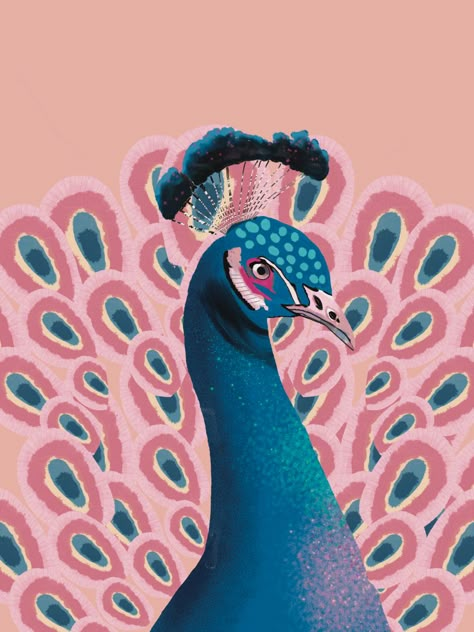 Peacock Illustration Design, Peacock Meaning, Peacock Graphic, Peacock Illustration, Peacock Drawing, Peruvian Art, Animal Illustration Art, Quirky Illustration, Posca Art