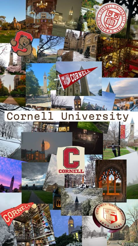 Cornell Aesthetic, Manifesting School, New Year Board, Cornell College, Romantic School, Spiritual Vision Board, Full Scholarship, Ivy League Colleges, University Inspiration