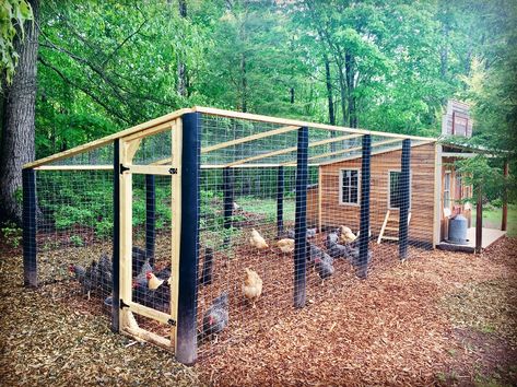 Sweet Water Organic Farm -Custom Created Chicken House & Run Amherst, Virginia Reban Ayam, Chicken Enclosure, Cute Chicken Coops, Walk In Chicken Coop, Chicken Coop Garden, Backyard Chicken Coop Plans, Diy Chicken Coop Plans, Chicken Coop Run, Backyard Chicken Farming