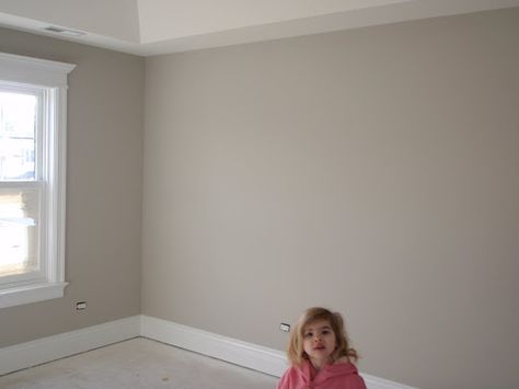 Benjamin Moore seattle mist....love this grayish tan Bm Paint Colors, Room Pics, Rustic Outfits, Rustic Photography, Rustic Apartment, Rustic Office, Rustic Wallpaper, Rustic Shower, Rustic Restaurant