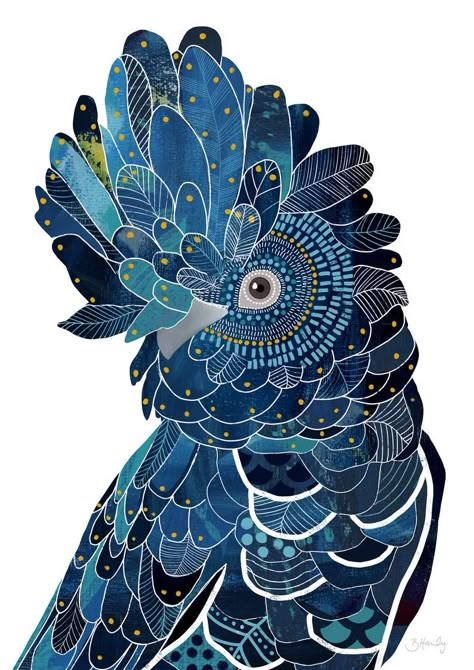 Cockatoo Painting, Little Illustrations, Coloring Book Inspiration, Mountains Design, Black Cockatoo, Native Tattoos, Native Print, B Design, Blue Dots