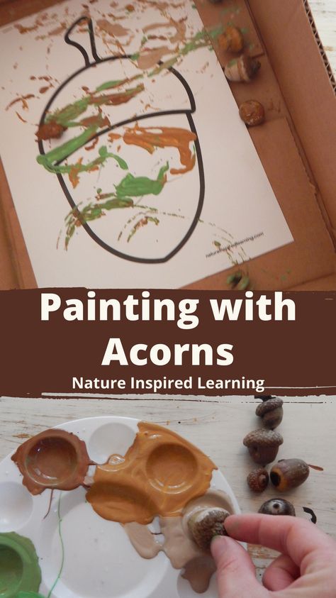 Acorn Life Cycle Preschool, Acorns Preschool Activities, Acorn Infant Art, Acorn Art Preschool, Acorn Crafts Preschool Art Projects, Autumn Art For Toddlers, Acorn Crafts For Toddlers, Acorn Art For Toddlers, Acorn Preschool Crafts