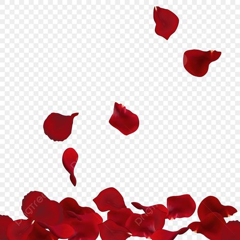 Rose Petals Falling, Petals Falling, Rosé Png, Red Rose Petals, Love Backgrounds, Red Rose Flower, Red Arrow, Red Tulips, Romantic Flowers