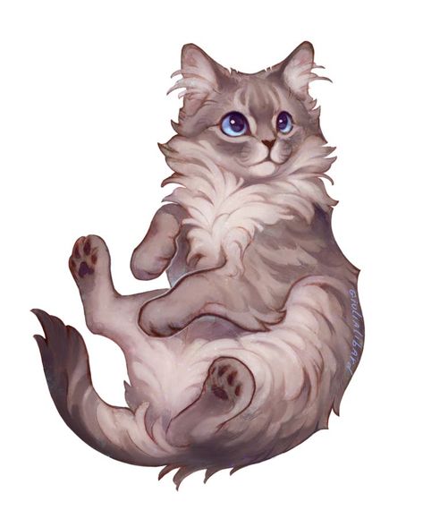 Munchkin Cat Drawing, Grey Tabby Cat Drawing, Cat Cute Art, Tabby Cat Drawing, White Cat Drawing, Silver Tabby Kitten, Tabby Cat Art, Cat Fanart, Silver Tabby Cat