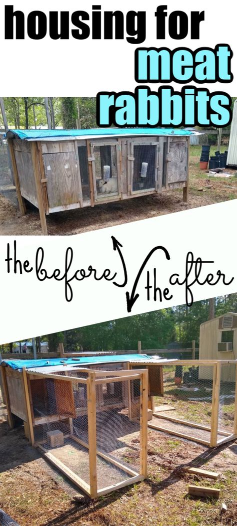 Rabbit Shelter Outdoor Diy, Outside Rabbit Enclosure, Rabbit Butchering Station, Rabbits And Chickens Together, Rabbit Barn Ideas, Rabbit Colony Ideas, Diy Rabbit Hutch Outdoor, Meat Rabbit Set Up, Raising Animals For Meat