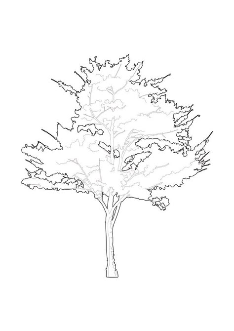 Tree Vector Png, Playgrounds Architecture, Tree Photoshop, Conceptual Sketches, Urban Design Concept, Human Figure Sketches, Urban Design Plan, Architecture Elevation, Desain Editorial