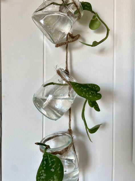 Propagation Ideas Diy, Diy House Plant Projects, Diy Hanging Propagation, Diy Hanging Planter Easy, Plant Wall Propagation, Propagating Plants Aesthetic, Diy Propagation Station Hanging, Diy Plant Wall Hanger, Propagation Jars Diy