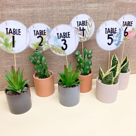 Miss Isabella on Instagram: “Obsessed with how my new table numbers turned out. Thanks for the idea @teachingwithmissmolly 🌵 Pots are from Kmart and table number labels…” Plants Classroom, Cactus Classroom, Class Board, Classroom Goals, Classroom Makeover, Number Labels, Modern Classroom, Elementary Classroom Decor, Classroom Organisation