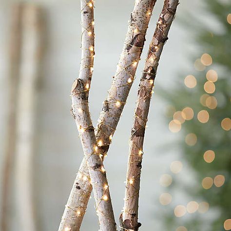 Christmas Plants, Vases & Stems | Crate and Barrel Christmas Lights Background, Outdoor String Lights Patio, Christmas Lights Outside, Best Outdoor Lighting, Christmas Light Installation, Hanging Christmas Lights, Christmas Vases, Patio String Lights, Pergola Lighting