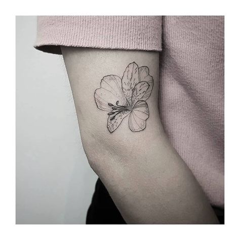 ALSTROEMERIA - my first one at @alchemistsvalley in madrid. thank you, carolina! Alstroemeria Tattoo, Bloom Tattoo, Artist On Instagram, Flower Tattoos, Tattoo Artist, Cute Tattoos, Small Tattoos, Triangle Tattoo, Geometric Tattoo