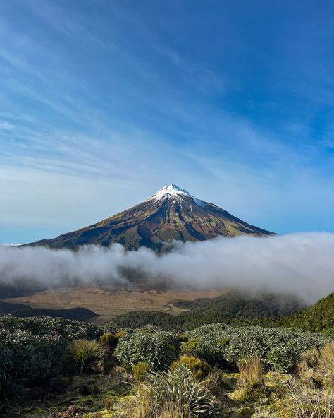 🗻Mt Taranaki🗻 Mt Taranaki, Quick Saves