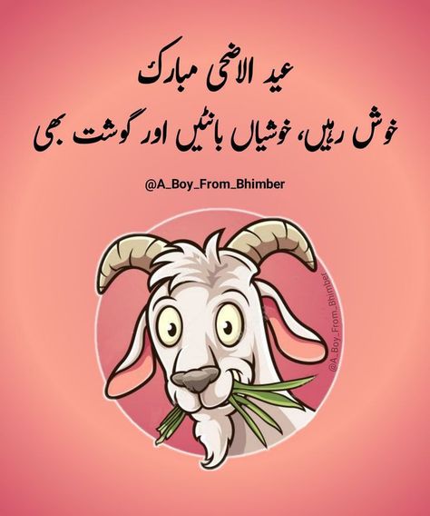 Eid Jokes, Smart Quotes Funny, Urdu Aesthetic, Urdu Post, Eid Quotes, Poetry Aesthetic, Islamic Content, Strong Motivational Quotes, Funny Images With Quotes