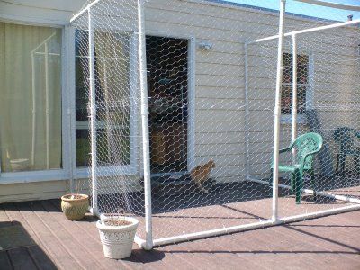 Could maybe do this while renting? Would still need roof screened in. PVC cat run AFFORDABLE:) #cats #catio #CatRun Diy Cat Enclosure, Outdoor Enclosure, Cat Fence, Cat Patio, Outdoor Cat Enclosure, Cat Run, Pet Enclosure, Screen House, Outdoor Cat House