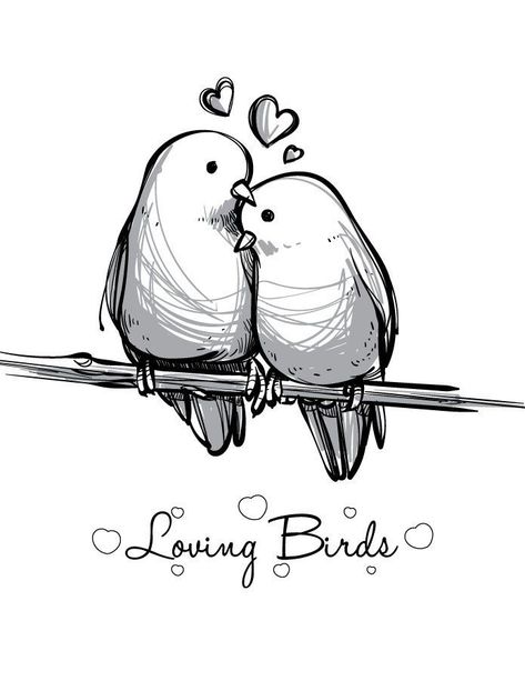 Love Birds Drawing, Valentine Drawing, Birds Drawing, Valentines Day Drawing, Bird Coloring Pages, Love Bird, Trik Fotografi, Bird Drawings, St Valentin