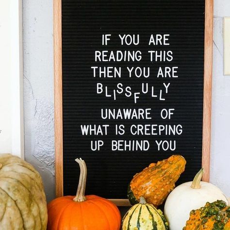 Happy Halloween! (remember: the call came from INSIDE your house and don't trip as you try to run away) #yikes #happyhalloween Halloween Letterboard, Outstanding Quotes, Letter Board Ideas, Letterboard Ideas, Letterboard Signs, Halloween Sayings, Board Sayings, Letterboard Quotes, Haunting Of Hill House