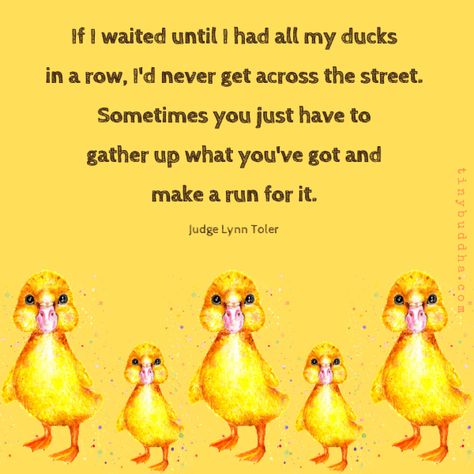 Rowing Quotes, Duck Quotes, Ducks In A Row, Motivational Memes, Positive Memes, Tiny Buddha, Design Crochet, Buddha Quotes, Wait For Me