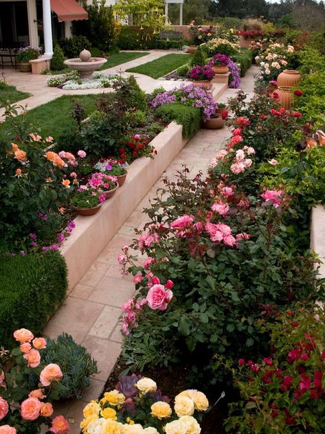 Small Rose Garden Ideas, Reka Bentuk Landskap, Rose Garden Landscape, Small Flower Gardens, Rose Garden Design, Garden Vines, Cottage Garden Design, Garden Shrubs, Traditional Garden