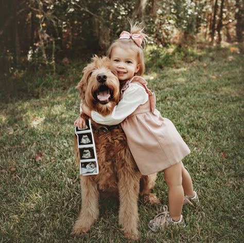 Big Brother Announcement With Dog, Baby Announcing Ideas With Big Sister, Announce Baby #2, Dog Big Sister Announcement, Christmas Baby Announcement With Sibling, Baby No 2 Announcement, Pregnancy Announcement With Toddler Girl, Second Grandchild Announcement, Announcement Photos With Toddler