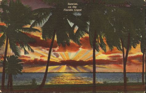 Sunrise on the Florida Coast: Florida is a state in the southeastern region of the United States, bordered to the west by the Gulf of Mexico, to the north by Alabama and Georgia, to the east by the Atlantic Ocean, and to the south by the Straits of Florida. Vintage Summer Wallpaper, Summer Wallpaper Backgrounds, Beautiful Florida, Florida Vintage, Colorful Sunset, Old Florida, Vintage Linen, Atlantic Ocean, Dark Horse