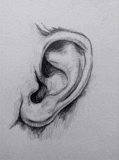 Earrings Drawing Sketch, Ear Shading, Ear Drawing Reference, Ear Sketch, Draw Ear, Ear Illustration, Drawing Ears, Earrings Drawing, Ears Drawing