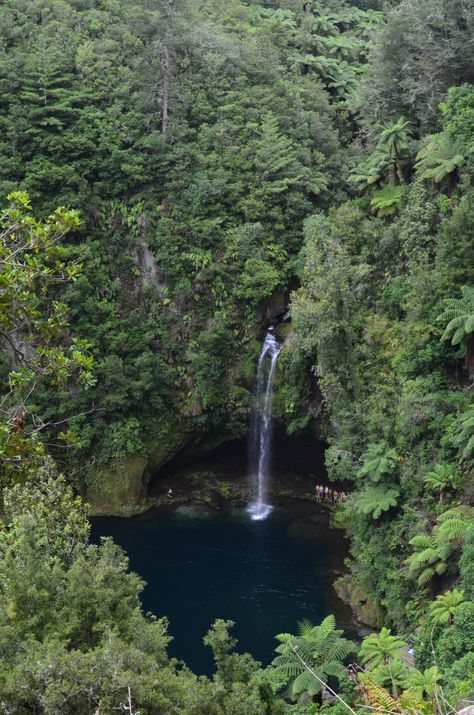 Omanawa Falls (Tauranga) - 2019 All You Need to Know Before You Go (with Photos) - Tauranga, New Zealand | TripAdvisor Tauranga New Zealand, New Zealand Trip, New Zealand Landscape, Bay Of Islands, New Zealand Houses, Bay Of Plenty, State Of Arizona, Dream Future, Different World