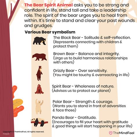 Bear meaning has a good deal of importance in many cultures. In different countries, the bear animal symbolism has varied significance. The spirit bear was invoked in ancient times by warriors before they would go for a battle. In many cultures, bears are considered to have healing properties. #BearMeaning #bearSymbolism #gratitude #spiritualjourney #hope #universe #spirit #selfcare #crystals #mind #spiritualgrowth #positivity #meditate #religion #pray #instagood #astrology Bear Meaning Spirit Animal, Bear Symbolism Meaning, Black Bear Spirit Animal Meaning, Bear Quotes Spirit, Bear Spirit Animal Tattoo, Polar Bear Spirit Animal Meaning, Bear Spiritual Meaning, Celtic Practices, Bear Symbolism