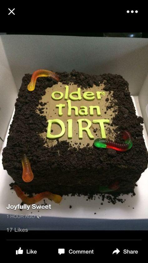 Older Than Dirt, Over The Hill Cakes, Funny Birthday Cakes, 70th Birthday Parties, Cakepops, Birthday Cupcakes, Creative Cakes, Cute Cakes, Cakes And More