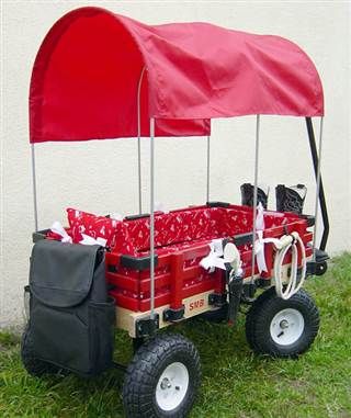 custom kids wagon Festival Wagon, Festival Trolley, Tiffany Nelson, Wagon Ideas, Camp Bestival, Canopy Ideas, Kids Wagon, Transportation For Kids, Radio Flyer Wagons