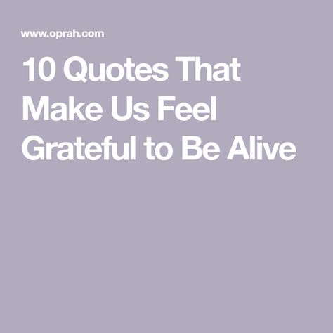 10 Quotes That Make Us Feel Grateful to Be Alive Grateful To Be Alive, Happy Motivation, Anne Lamott, Inspiring Words, George Bernard Shaw, Nobel Peace Prize, Bernard Shaw, 10th Quotes, Family Relationships