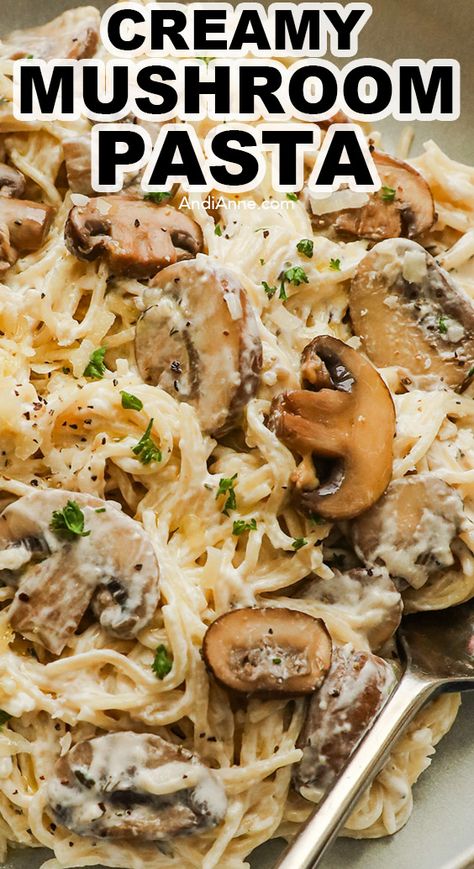 This creamy parmesan mushroom pasta is an easy all-in-one dinner idea using spaghetti pasta, fresh mushrooms and a creamy homemade sauce. It's full of delicious flavor and can be made in under 30 minutes! Canned Mushrooms What To Do With, Spaghetti Mushroom Sauce, Spaghetti And Mushrooms, Parmesan Mushroom Pasta, Mushroom Feta Pasta, Dinner Ideas With Spaghetti Noodles, Mushrooms And Pasta Recipes, Pasta With Mushrooms And Peas, Spaghetti Mushroom Recipe