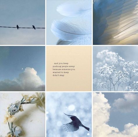 Song Bird Aesthetic, Two Birds Aesthetic, Birds Mood Board, Sky Blue Mood Board, Sky Moodboard, Butterfly Mood Board Inspiration, Birds Aesthetic, Blue Moon Mood Board, Regina Spektor